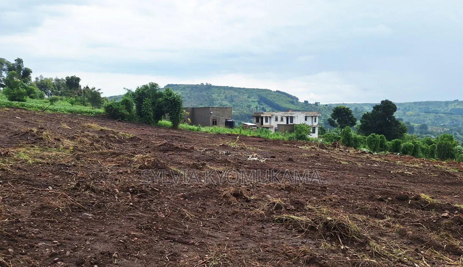 Titled Plots for Sale at 10 M Ugx Only