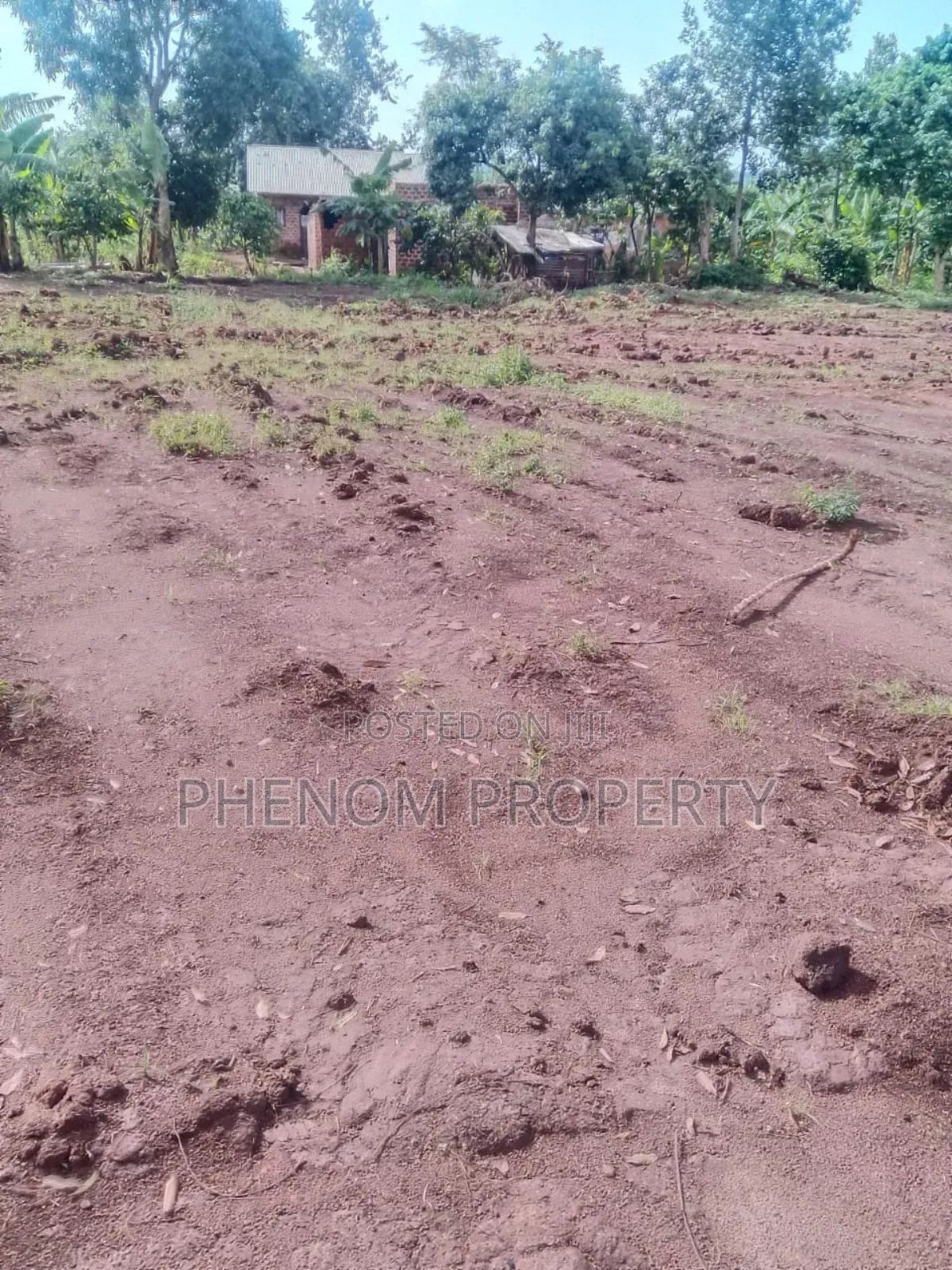 50*100 Plots on Sale Bujumba Town