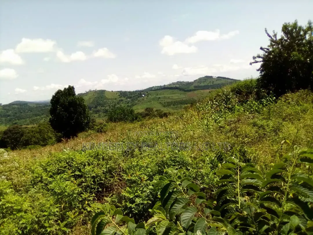 8 Acres Lake View Land – Mpata Nakitto Village (Mukono) at 50m/Acre