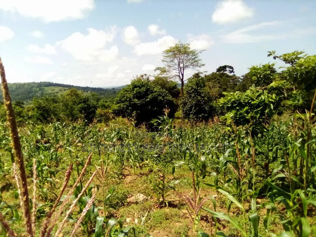 8 Acres Lake View Land – Mpata Nakitto Village (Mukono) at 50m/Acre
