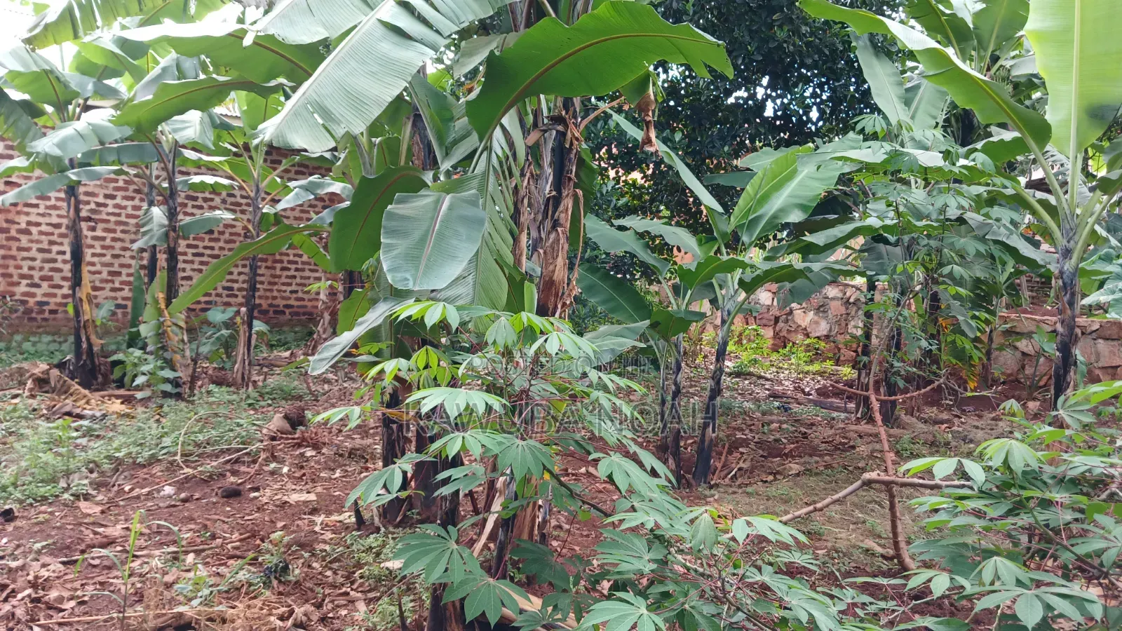 4bdrm House in Jinja for sale