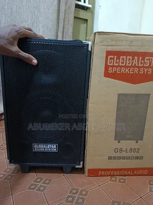 Global Star L.802 Speaker