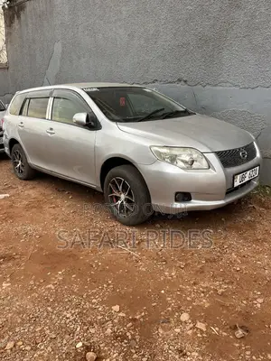 Toyota Corolla Fielder 2008 Silver