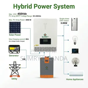 Easy Install Hybrid Inverter 1000w/2000w/3200w Available