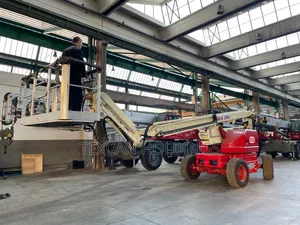 Rlx 280j Self Propelled Aerial Crane