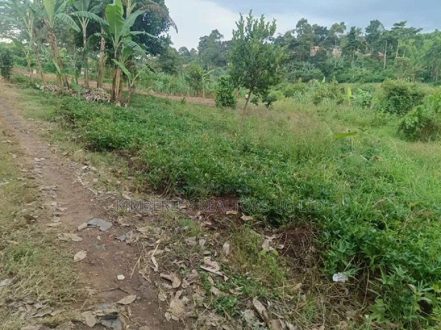 12 Decimals Prime Plot – Seeta (Namugongo Road) at 45m