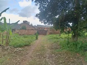 30 Decimals Prime Land – Kololo at 