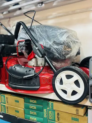 Gasoline Lone Mower 20inch