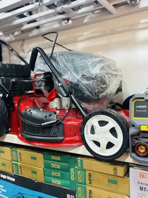 Gasoline Lone Mower 20inch