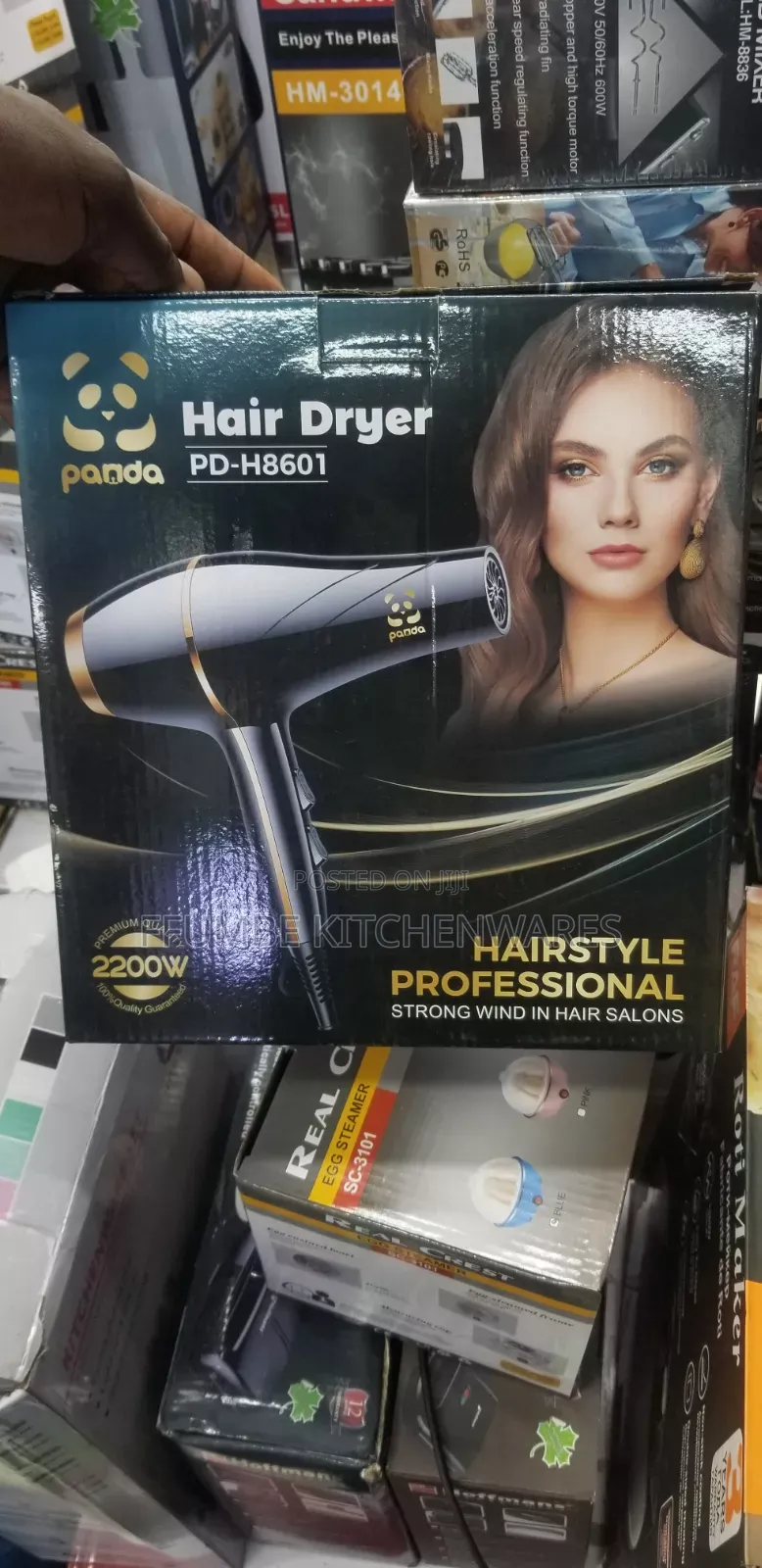 Hair Dryer Professional