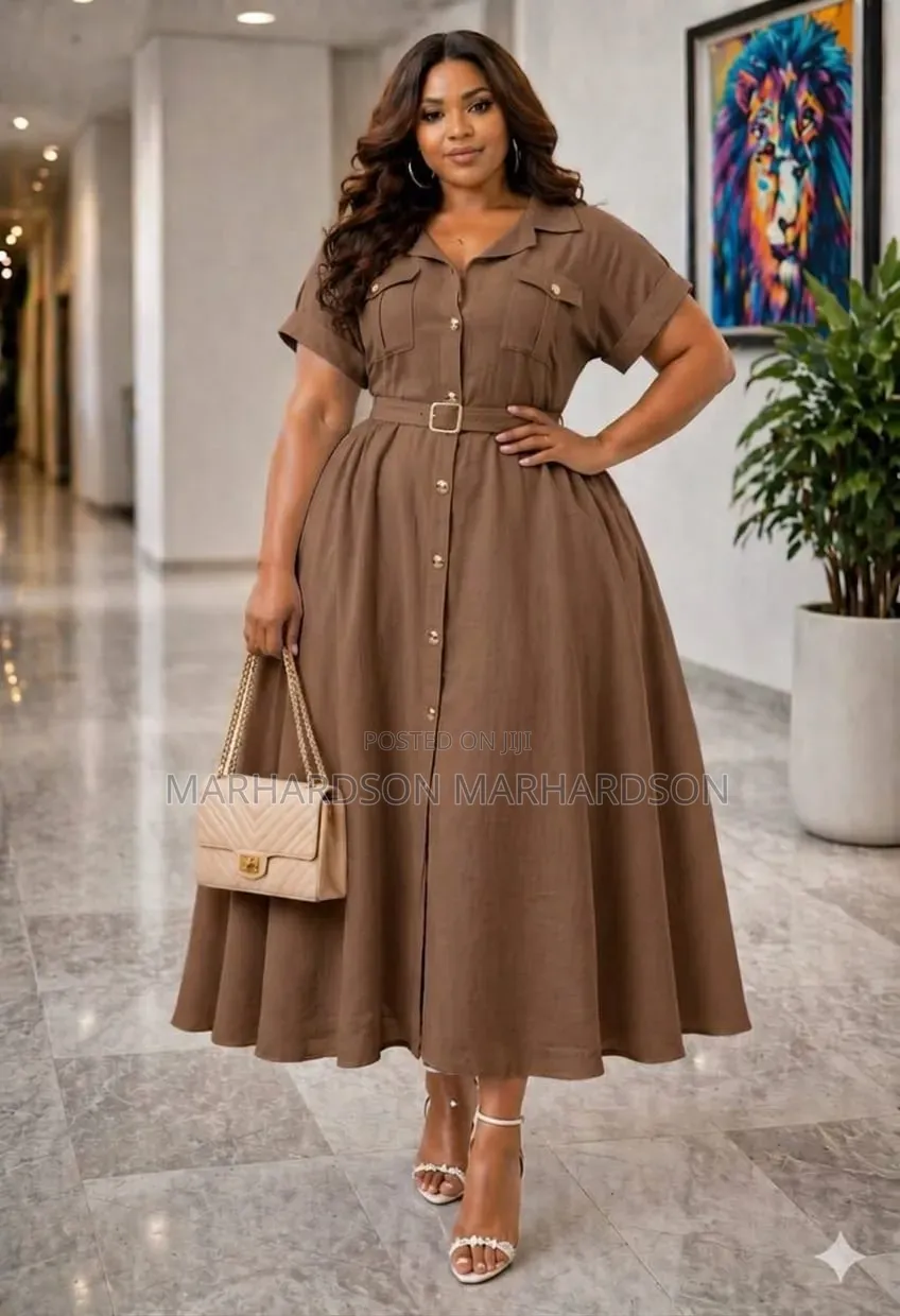 Classy Elegant Dress