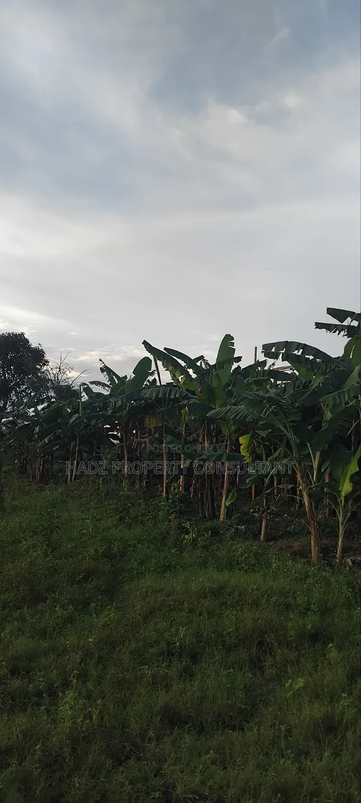 Plot on Sale