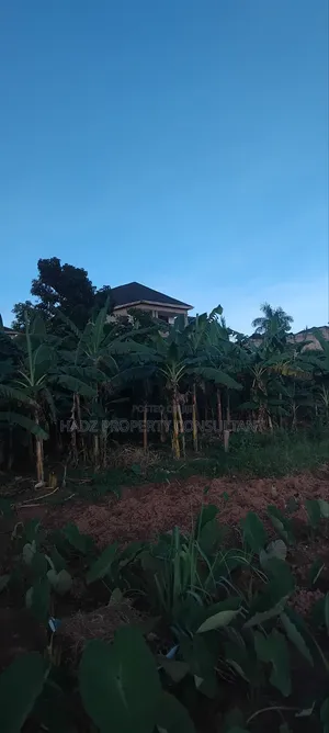 Plot on Sale
