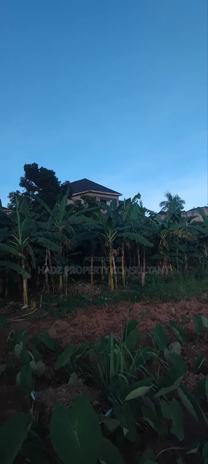 Plot on Sale