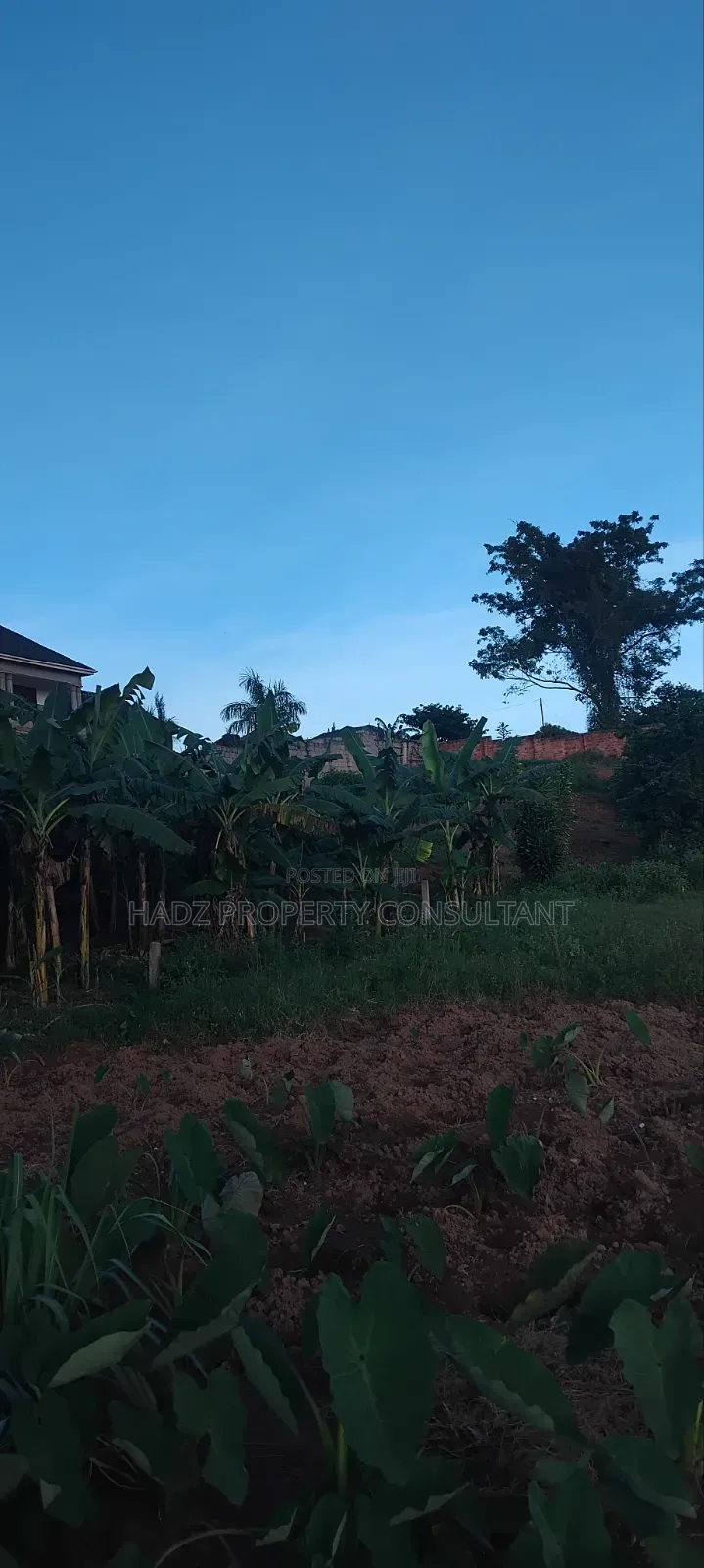 Plot on Sale