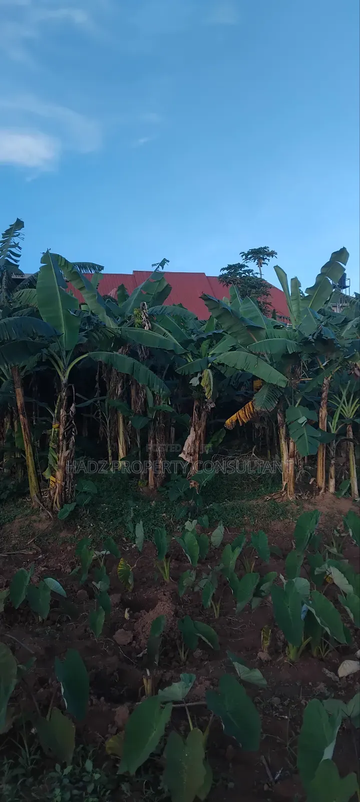 Plot on Sale