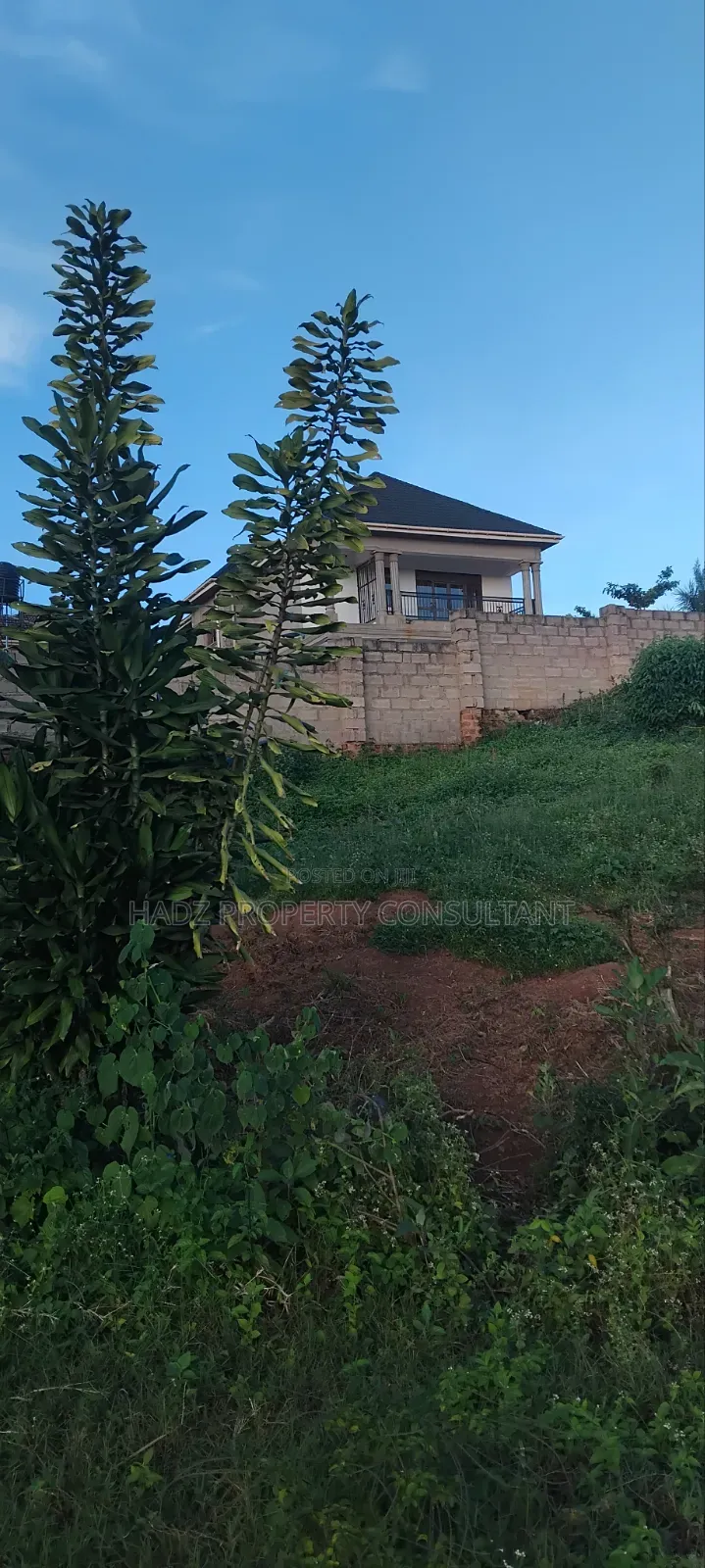 Plot on Sale