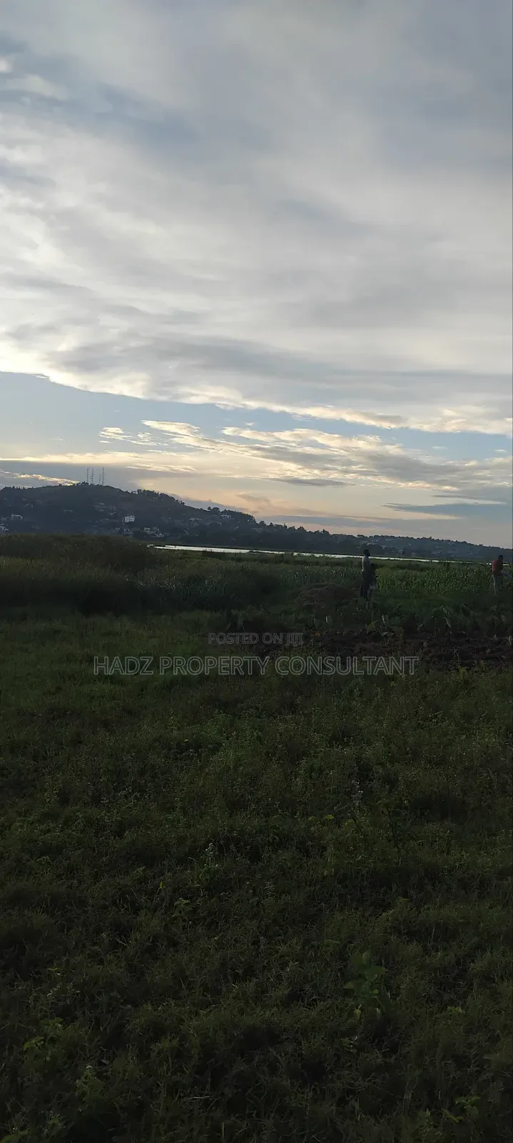 Plot on Sale