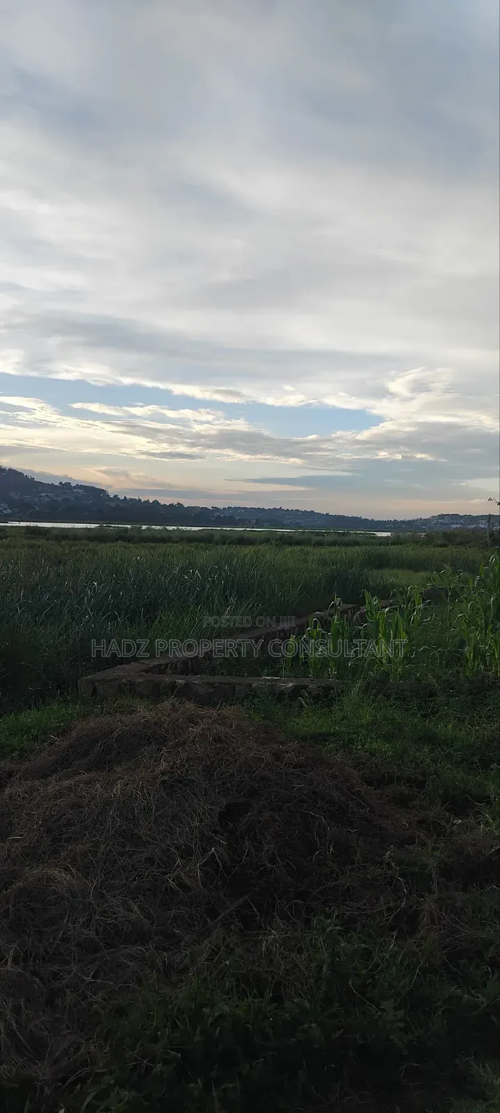 Plot on Sale