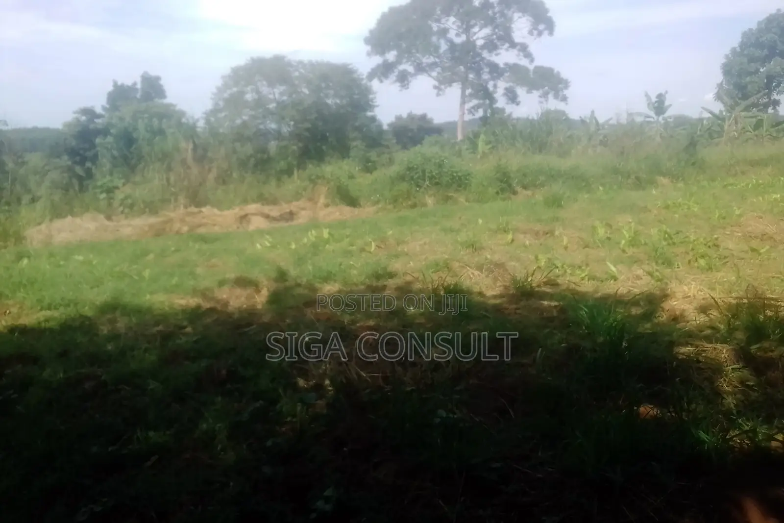 33 Acres of Cammercial Land Is on Sale at 120m in Kasayi Road, Mukono