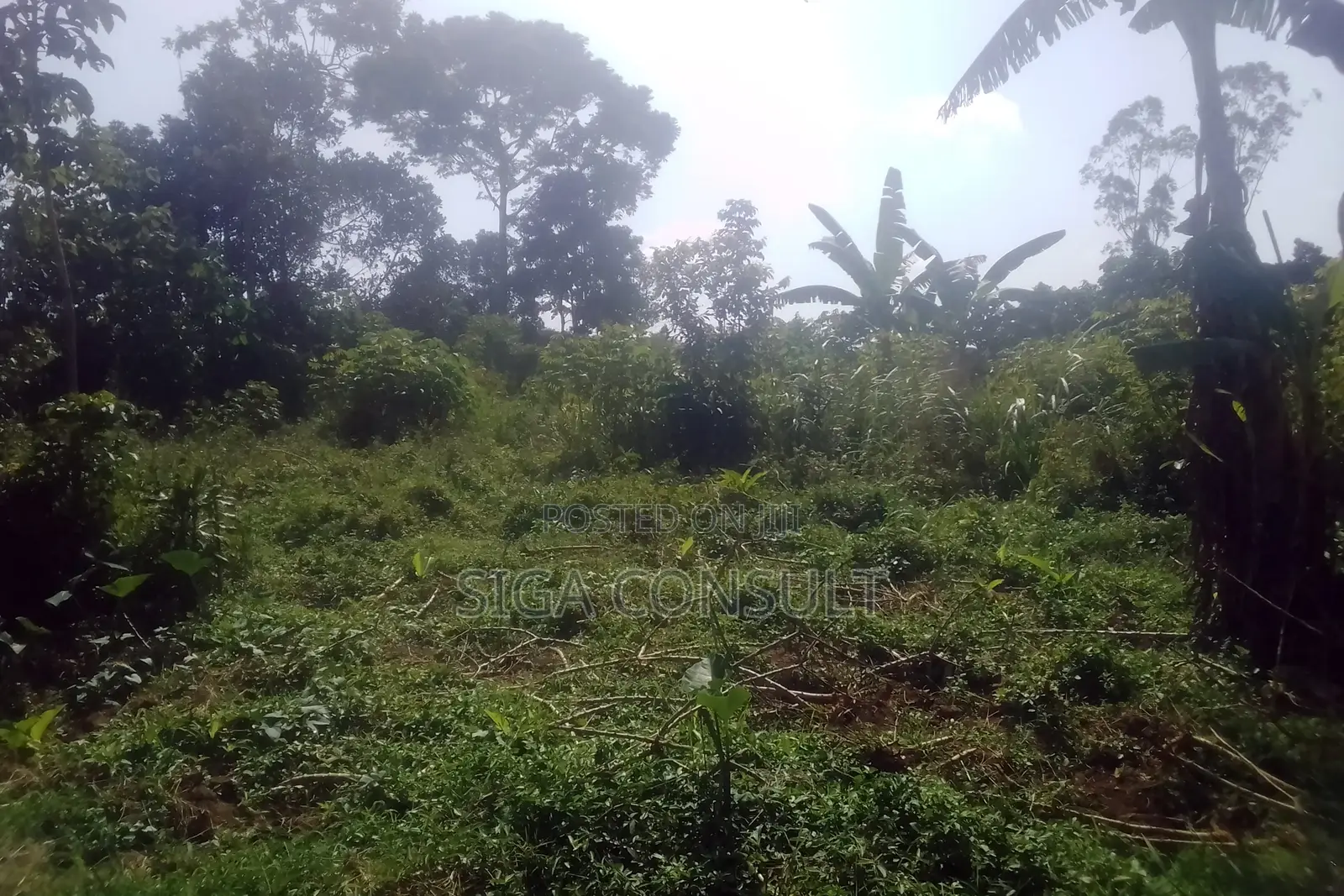33 Acres of Cammercial Land Is on Sale at 120m in Kasayi Road, Mukono