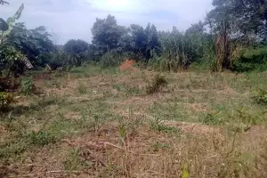 33 Acres of Cammercial Land Is on Sale at 120m in Kasayi Road, Mukono