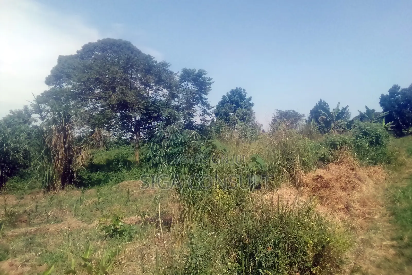 33 Acres of Cammercial Land Is on Sale at 120m in Kasayi Road, Mukono