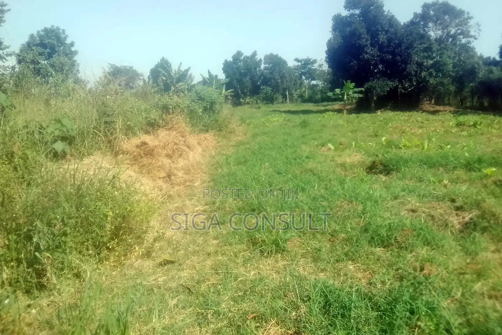 33 Acres of Cammercial Land Is on Sale at 120m in Kasayi Road, Mukono