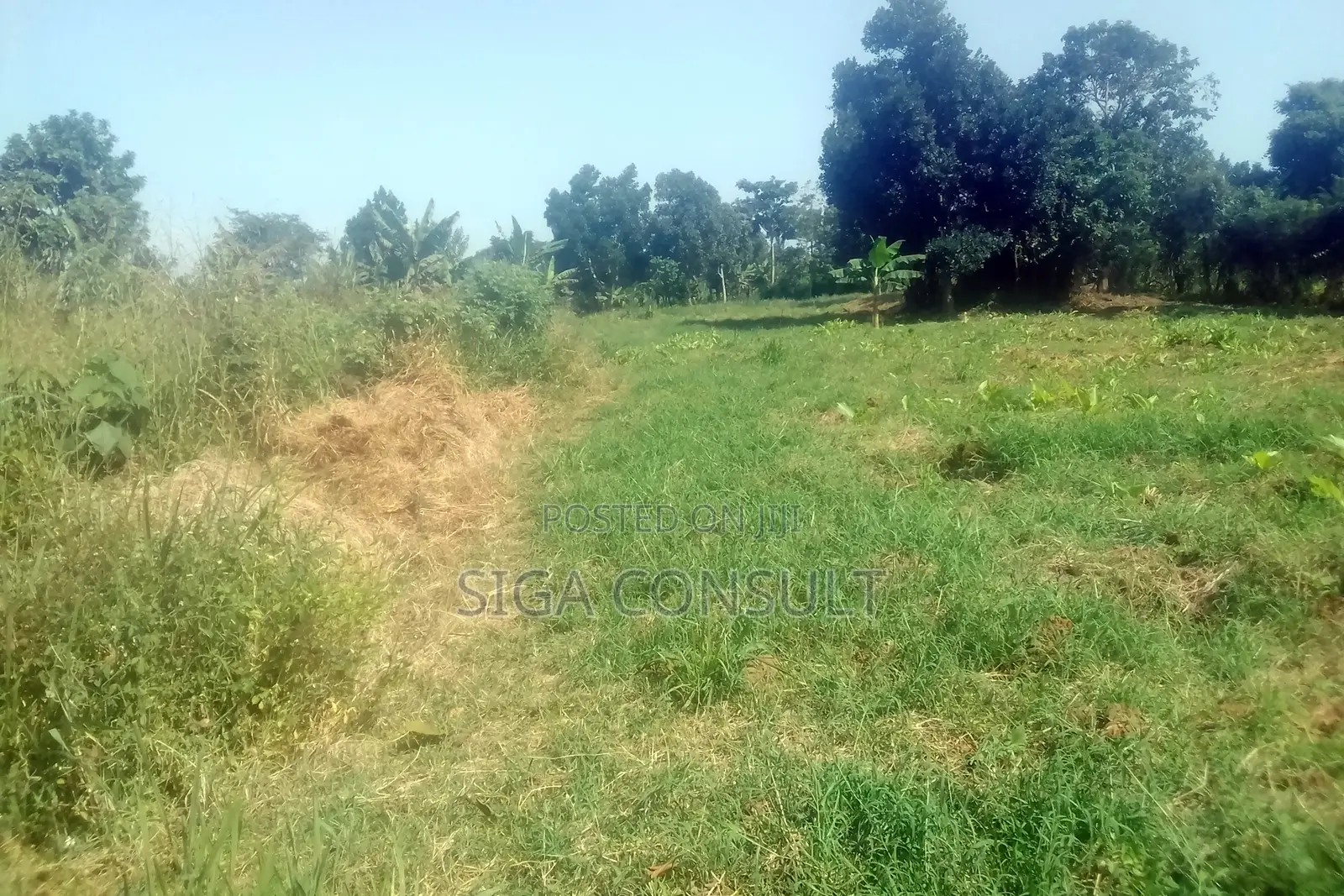 33 Acres of Cammercial Land Is on Sale at 120m in Kasayi Road, Mukono