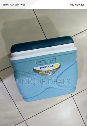Pinnacle 20l Ice Cooler Chiller Box