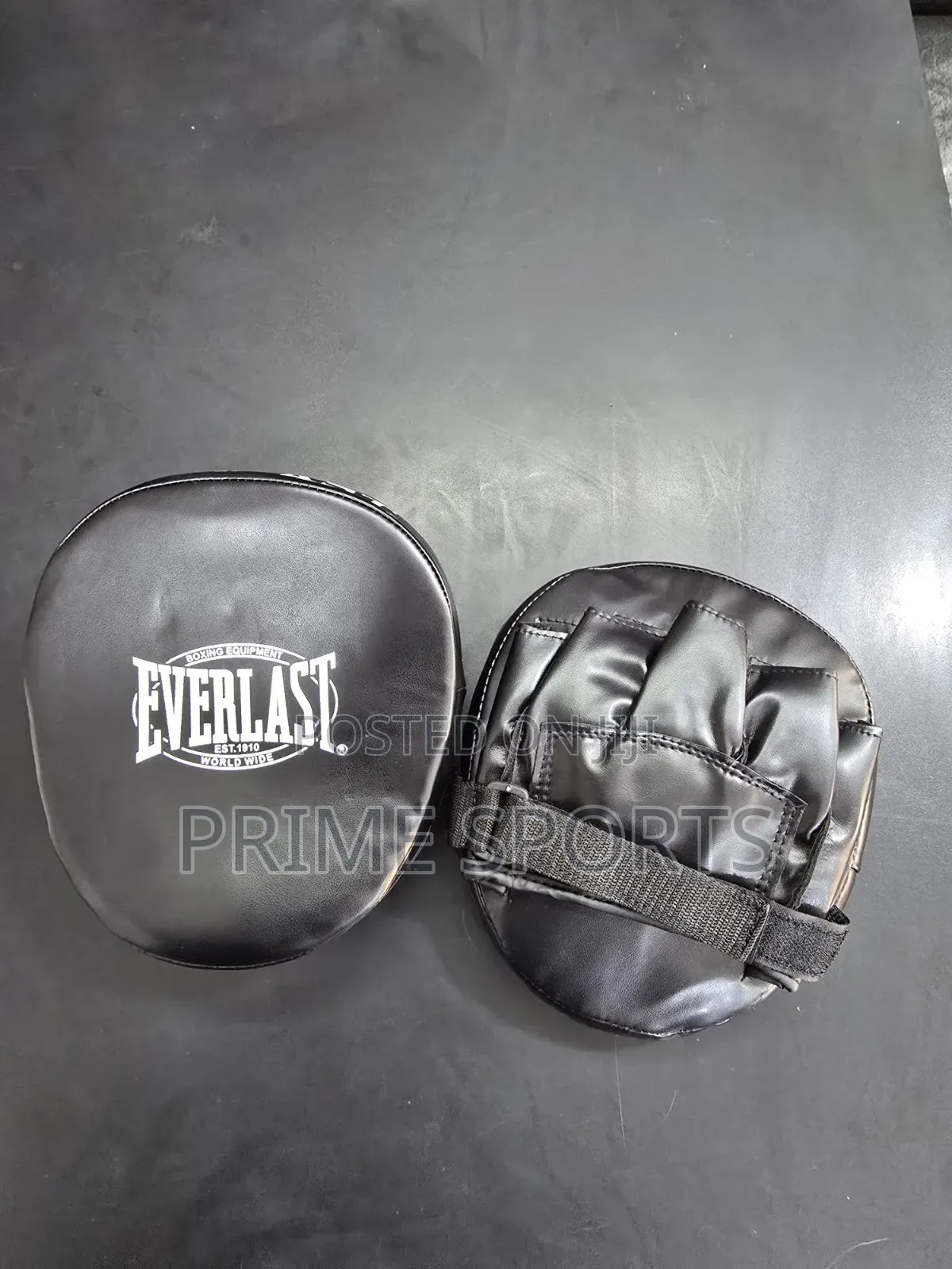 Boxing Pads (Everlast)