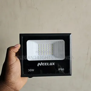 30w Ac Floodlight Neelux