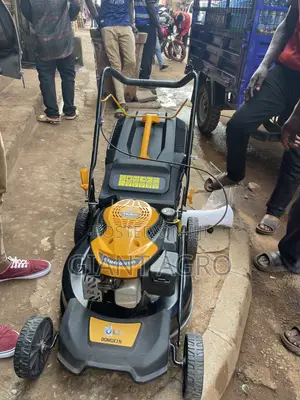 Motorized Lawn Mower