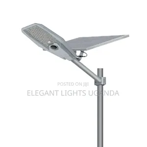 Solar Streetlight Separate Panel