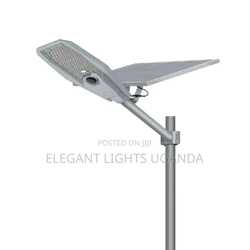 Solar Streetlight Separate Panel