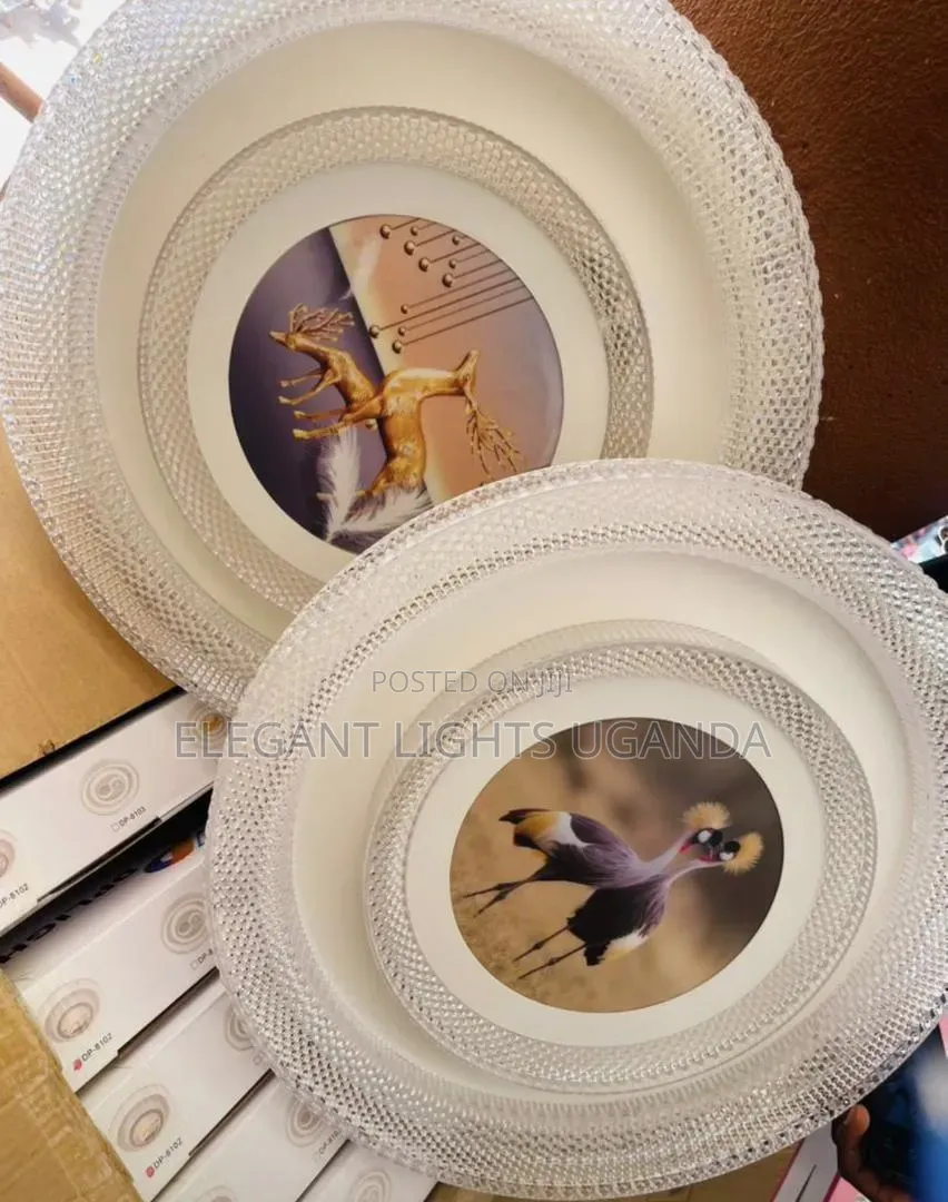 Ceiling Lights