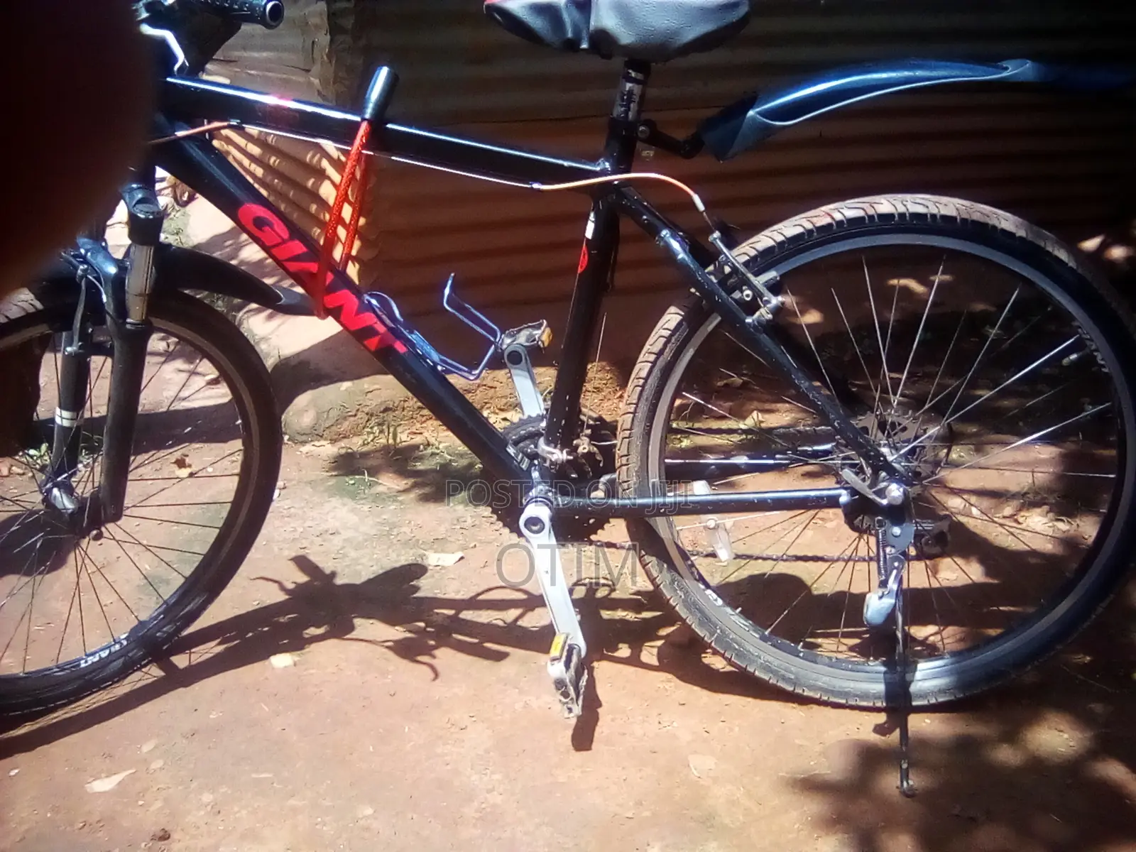 Giant Bike