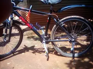 Giant Bike