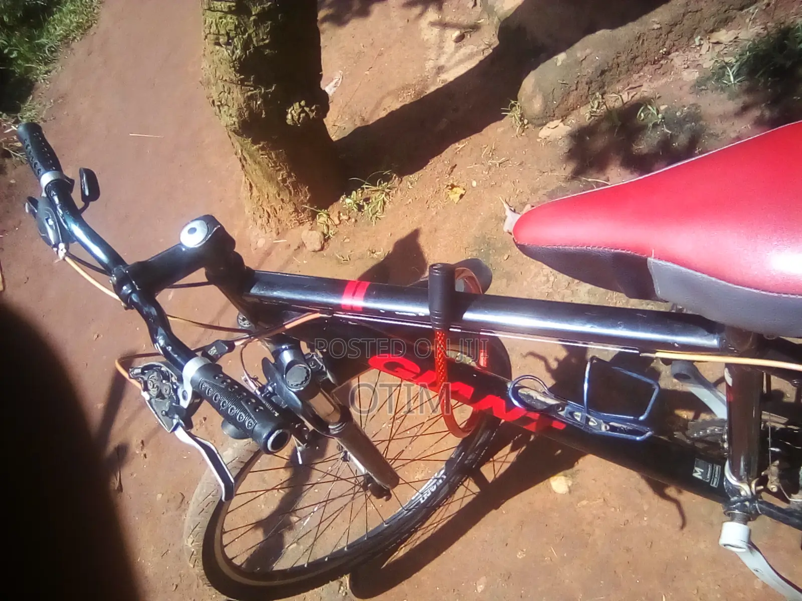 Giant Bike
