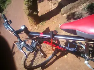 Giant Bike