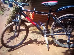 Giant Bike