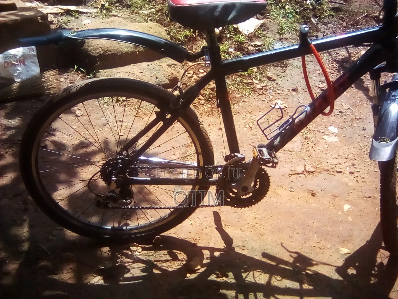 Giant Bike