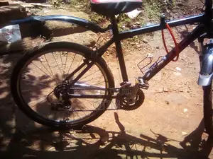 Giant Bike