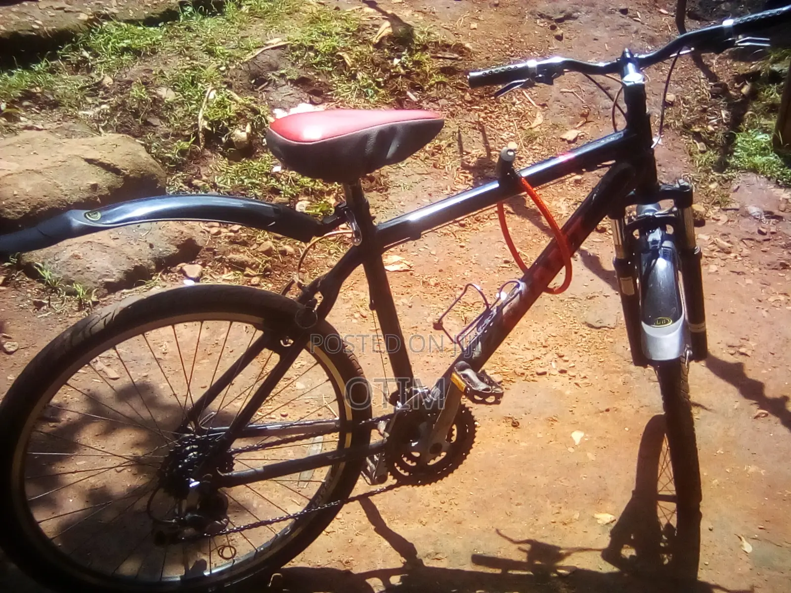 Giant Bike