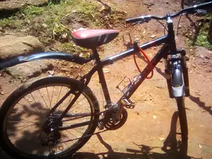 Giant Bike