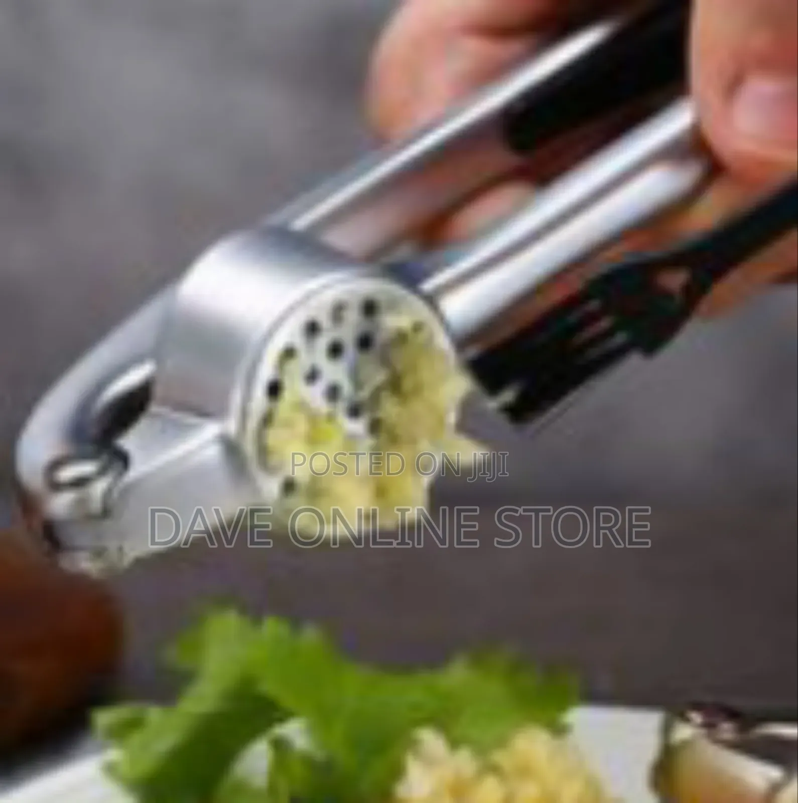 The Essential Stainless Steel Garlic Press