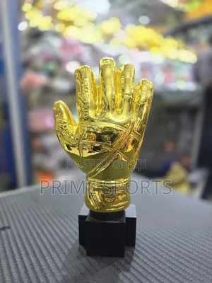 Golden Gloves Award
