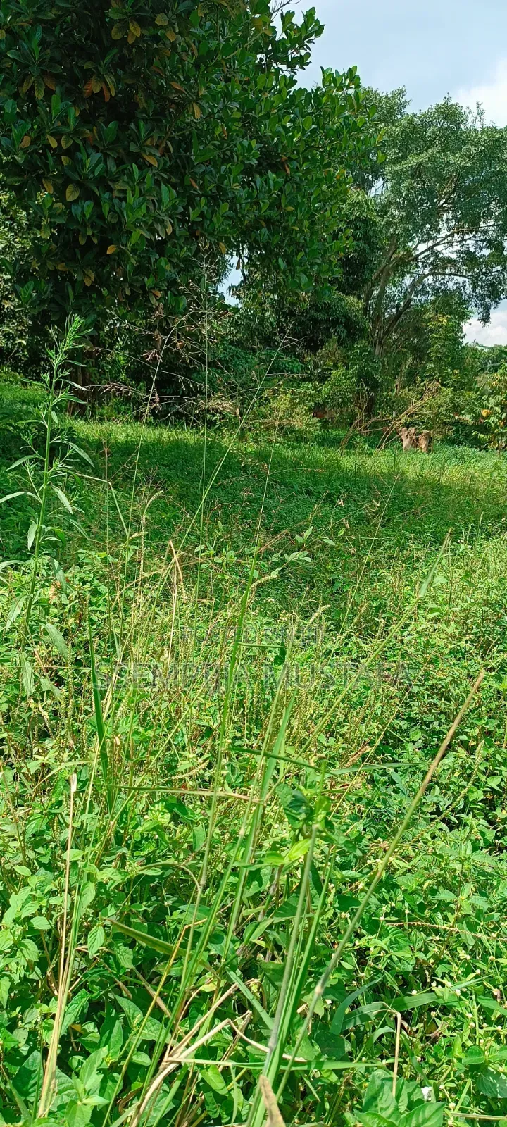 Plots/Land for Sale
