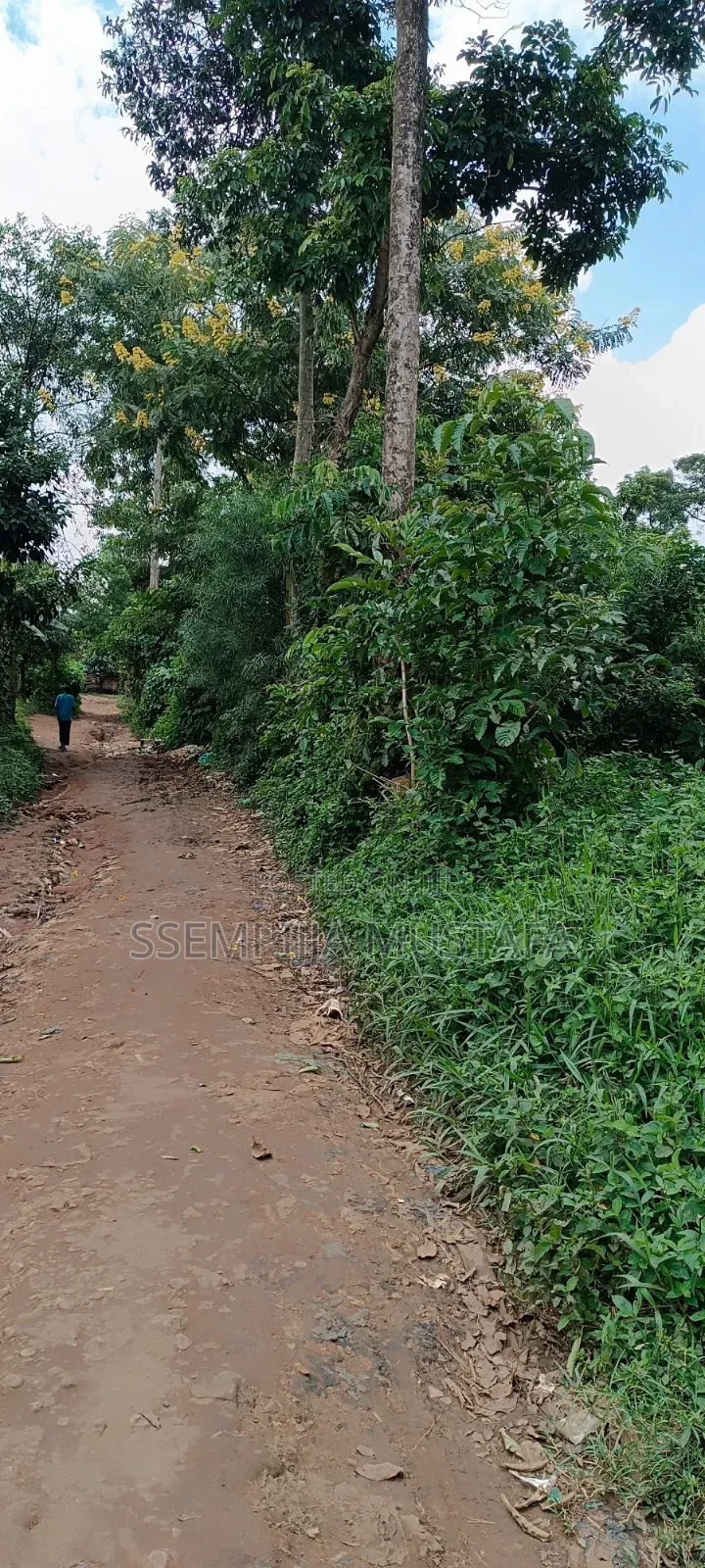 Plots/Land for Sale