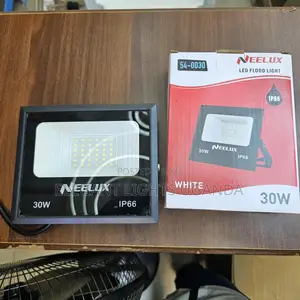 30w Ac Floodlight Neelux